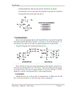 Tổng quan về phospholipide