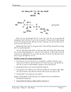 Tổng quan về phospholipide