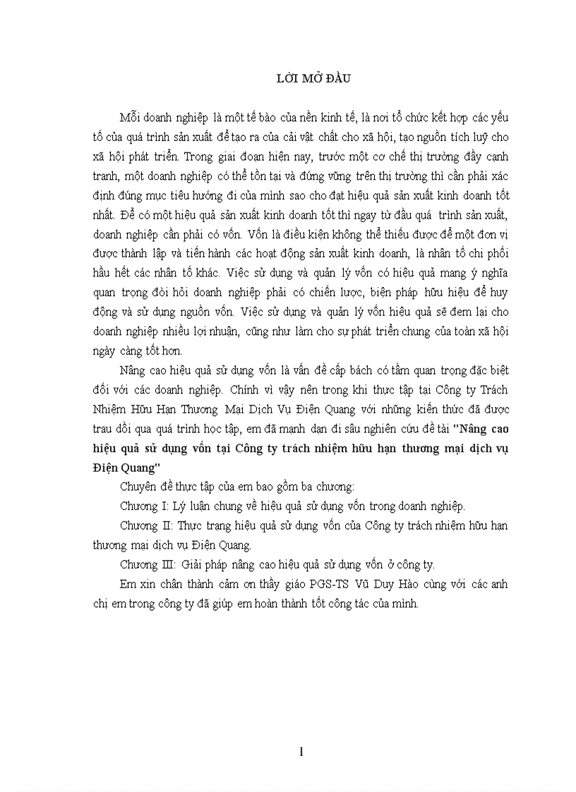 Nâng cao hiệu quả sử dụng vốn tại Công ty trách nhiệm hữu hạn thương mại dịch vụ Điện Quang