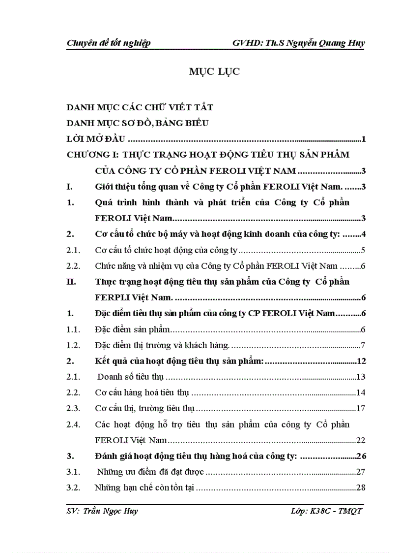 Phương hướng và giải pháp hạch toán hoạt động tiêu thụ sản phẩm của Công ty Cổ phần FEROLI Việt Nam