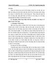 Phương hướng và giải pháp hạch toán hoạt động tiêu thụ sản phẩm của Công ty Cổ phần FEROLI Việt Nam