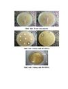 Nghiên cứu tỷ lệ mang Staphylococcus aureus và mức độ kháng kháng sinh của Staphylococcus aureus trong hốc mũi của người bệnh khi nhập viện và sau phẫu thuật tại các khoa ngoại - Bệnh viện Trung ương Quân Đội 108, năm 201