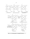 Tách chiết và chuyển hoá chlorophyll a từ vi khuẩn cyanobacteria