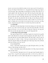 PHƯƠNG HƯỚNG PHÁT TRIỂN CỦA VNCC TRONG GAI ĐOẠN 2010 – 2015