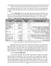 Kinh tế Liên bang Nga những năm đầu thế kỷ XXI. Quan hệ thương mại Việt – Nga làm khoá luận tốt nghiệp của mình.