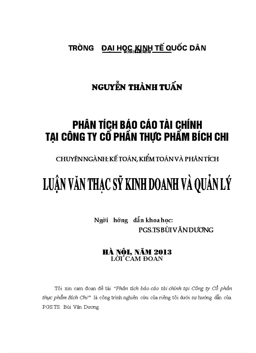 Phân tích báo cáo tài chính tại Công ty cổ phần thực phẩm Bích Chi