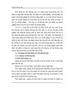 Thực trạng và giải pháp nâng cao hoạt động xúc tiến thương mại của công ty TNHH Mỹ phẩm Thảo Dược Bảo Long