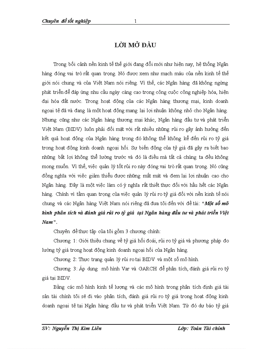 Một số mô hình phân tích và đánh giá rủi ro tỷ giá  tại Ngân hàng đầu tư và phát triển Việt Nam