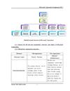 Microsoft Corporation/Assignment OB