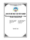 Giải pháp nâng cao hiệu quả sử dụng vốn lưu động tại Công ty Cổ phần Viglacera Từ Sơn