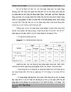 Giải pháp nhằm nâng cao chất lượng tín dụng tại chi nhánh Ngân hàng nông nghiệp Huyện Yên Khánh tỉnh Ninh Bình