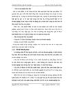 Nâng cao công tác quản lý tiêu thụ sản phẩm trên thị trường tại công ty cổ phần Bóng đèn phích nước Rạng Đông