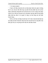 Nâng cao công tác quản lý tiêu thụ sản phẩm trên thị trường tại công ty cổ phần Bóng đèn phích nước Rạng Đông