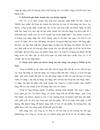 Công ty TNHH thực phẩm Ân Nam
