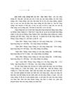 Hoạt động công chứng