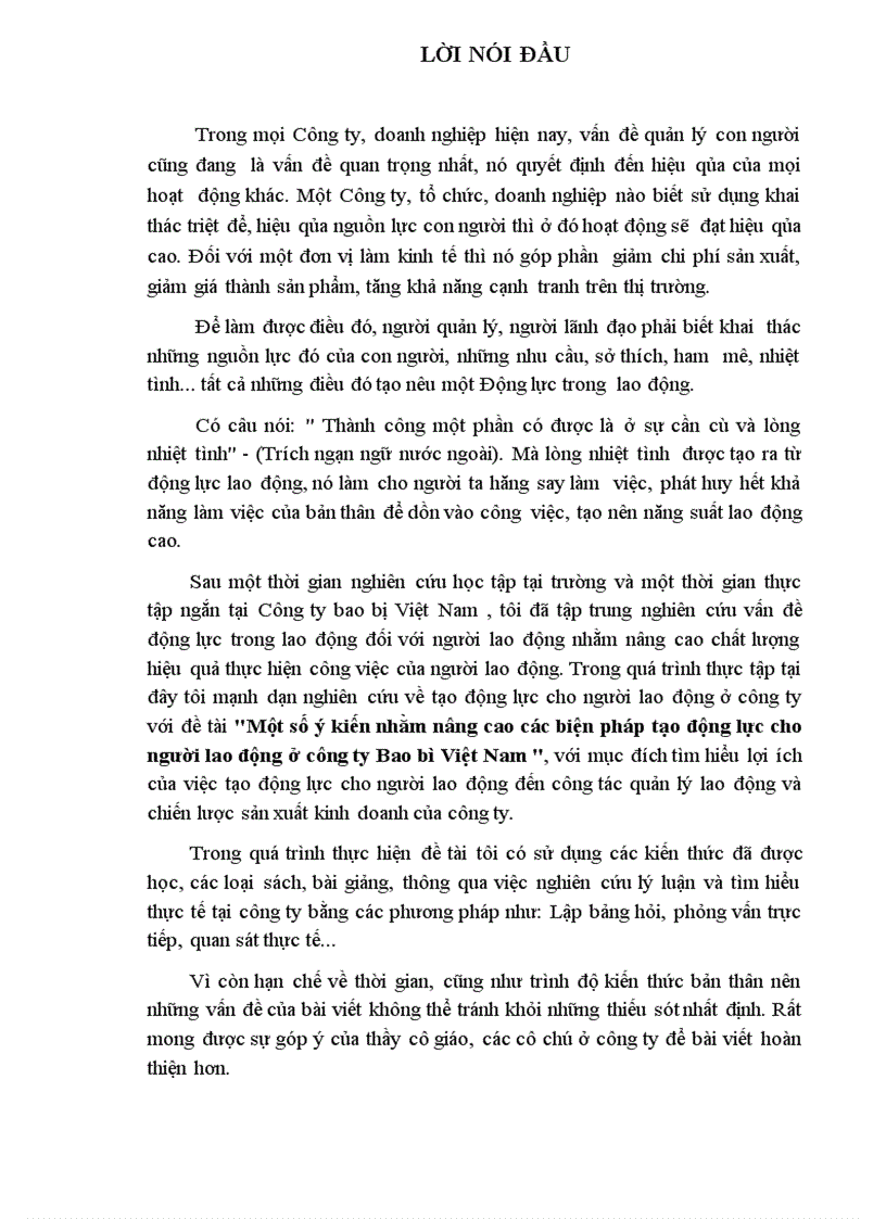 Một số giải pháp nhằm hoàn thiện hiệu quả tạo động lực tại Công ty Bao Bì Việt Nam