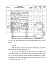 Một số biện pháp xây dựng và phát triển đội ngũ giáo viên Tiểu học ở Thị xã Thủ Dầu Một Bình Dương giai đoạn 2005 2010