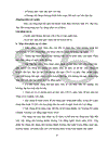 Sử dụng phương pháp khung Logic để xây dựng chiến lược phát triển của Trường Kỹ nghệ I đến năm 2010 1