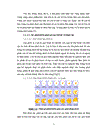 Thử nghiệm chuyển gen GFP trên gà Gallus gallus domesticus sử dụng vector pT2 BH CVpf SB11 bằng phương pháp chuyển gen qua tinh trùng và vi tiêm vào phôi gà 0 giờ ấp