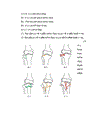 Đánh giá kết quả điều trị gãy kín mâm chày do chấn thương bằng phương pháp kết hợp xương nẹp vít tại Viện CTCH Bệnh viện TƯQĐ 108