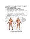 Đánh giá hiệu quả điều trị của truyền TM Cyclophosphamide và Glucocorticoid ở bệnh nhân viêm da cơ có tổn thương phổi kẽ điều trị tại khoa Cơ Xương Khớp Bệnh viện Bạch Mai