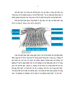 Nghiên cứu ứng dụng thị trường kế Humphrey Matrix phát hiện tổn thương thị trường trong bệnh glôcôm góc mở nguyên phát