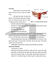 Nhận xét kết quả chẩn đoán và điều trị khối u buồng trứng tại Bệnh viện 19 8 Bộ Công an trong 10 năm từ 1999 2008