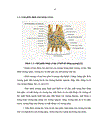 Đánh giá kết quả điều trị tiêm corticosteroid nội khớp cổ tay dưới hướng dẫn của siêu âm ở bệnh nhân VKDT