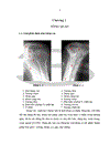 Phương pháp tiêm corticoid dưới hướng dẫn của siêu âm trong điều trị viêm quanh khớp vai thể đau khớp vai đơn thuần và thể đau vai cấp