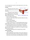 Đánh giá tình hình điều trị khối u buồng trứng tại Bệnh viện Trung ương Huế năm 2001