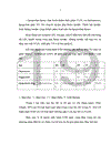 Nghiên cứu tác dụng hạ glucose máu của dịch chiết cam thảo đất Scoparia dulcis L và phân đoạn của dịch chiết này ở chuột nhắt trắng gây đái tháo đường thực nghiệm