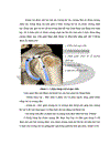 Đánh giá hiệu quả của phương pháp tiêm corticoid dưới hướng dẫn của siêu âm trong điều trị viêm quanh khớp vai