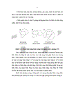 Nhận xét lâm sàng hình ảnh X quang giải phẫu bệnh và đánh giá kết quả phẫu thuật nang thân răng