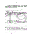 Nghiên cứu giá trị của thang điểm syntax trong đánh giá tiên lượng bệnh nhân sau can thiệp động mạch vành qua da