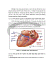 Nghiên cứu giá trị của thang điểm syntax trong đánh giá tiên lượng bệnh nhân sau can thiệp động mạch vành qua da