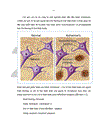 Vấn đề sa sút trí tuệ và bệnh Alzheimer