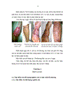 Đánh giá kết quả điều trị các viêm khuyết xương khuyết hổng phần mềm vùng cẳng bàn chân bằng vạt cuống mạch liền tại Bệnh viện hữu nghị Việt Tiệp Hải phòng 1