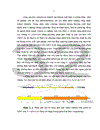 Một số phương pháp phân loại vi khuẩn dựa trên cấu trúc ADN và những ứng dụng trong nghiên cứu vi khuẩn Haemophilus influenzae