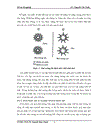 Nghiên cứu cấu trúc tập hợp giọt nhũ tương dầu 1