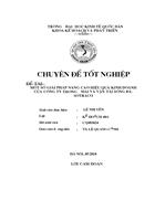 Một số giải pháp nâng cao hiệu quả kinh doanh tại công ty CP thương mại và vận tải Sông Đà -Sotraco