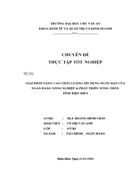 Giải pháp nâng cao chất lượng tín dụng ngắn hạn tại chi nhánh NHNo&PTNT Tỉnh Điện Biên