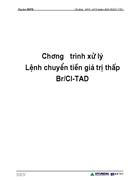 Chương trình xử lý Lệnh chuyển tiền giá trị thấp Br/CI-TAD