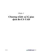 Chương trình xử lý giao dịch Br/CI-TAD