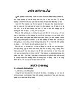 Thực trạng, nguyên nhân vấn đề thất nghiệp và việc làm ở nước ta hiện nay.