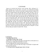 Những vấn đề bức xúc trong xã hội.