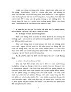 Thị trường định hướng xã hội chủ nghĩa: