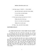 Thực trạng hoạt động kinh doanh của VIVECO: