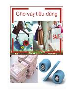 Tìm kiếm các giải pháp để nâng cao hiệu quả hoạt động cho vay tiêu dùng tại Ngân hàng thương mại cổ phần Đông Nam Á