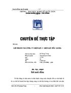 Lợi nhuận tại công ty điện lực i - điện lực bắc giang