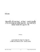 Tìm hiểu về phương hướng phát triển của doanh nghiệp trước xu thế hội nhập kinh tế quốc tế